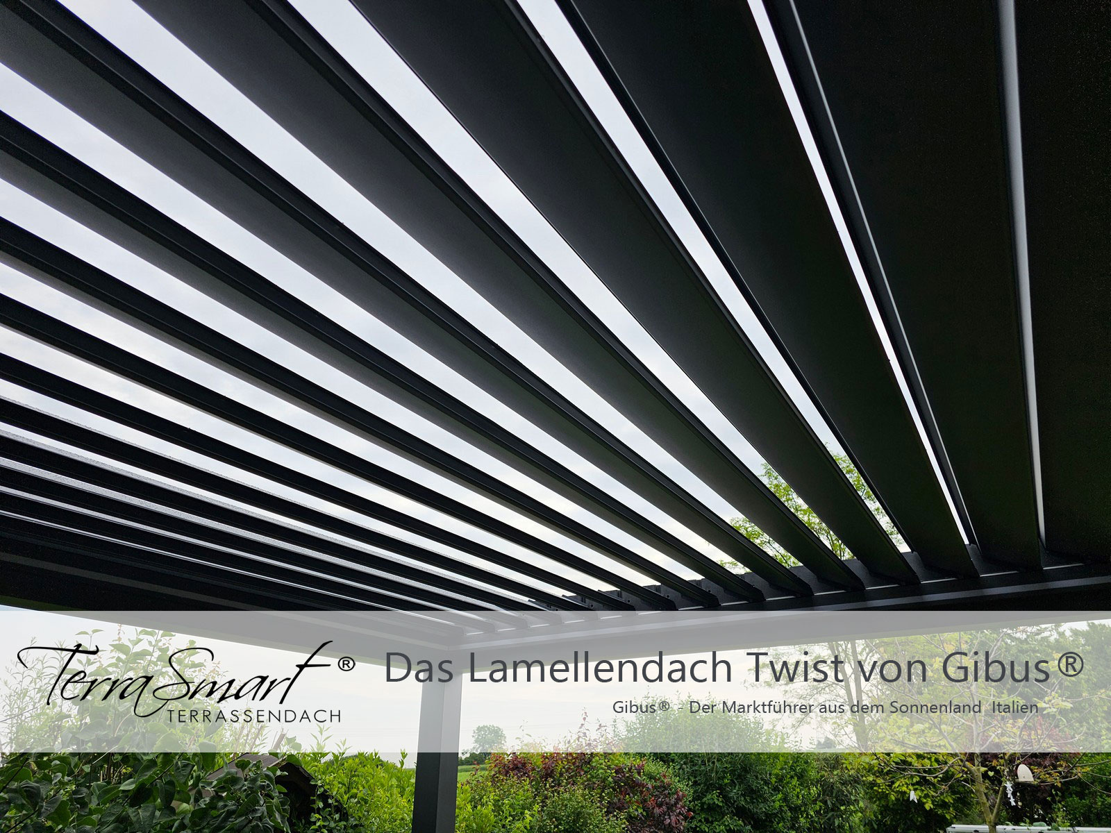 Lamellendach Twist